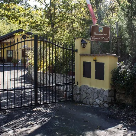 Il Sogno Di Renato